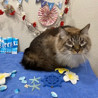 After trimming! 8/24