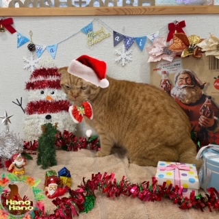 After trimming! 8/19