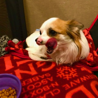 After trimming! 12/23