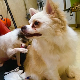 After trimming! 8/18