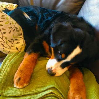 After trimming! 8/17