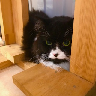 After trimming! 10/16