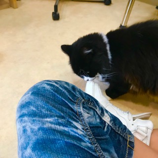 After trimming! 10/16