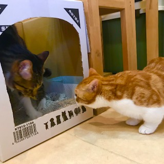 After trimming! 8/15