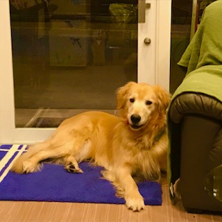 After trimming! 10/18