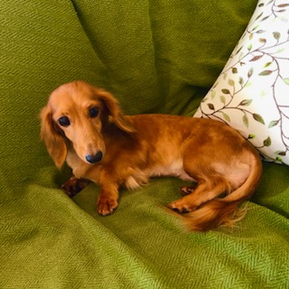 After trimming! 8/14