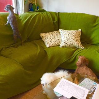 After trimming! 10/19