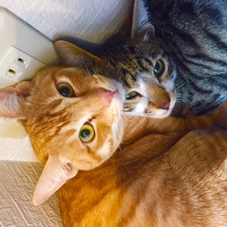 After trimming! 10/19