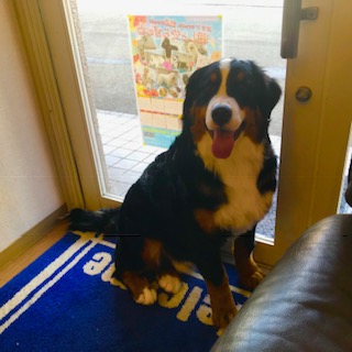 After trimming! 10/20