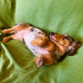 After trimming! 8/22