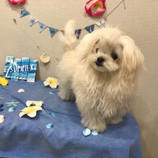 After trimming! 8/14