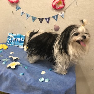 After trimming! 8/26