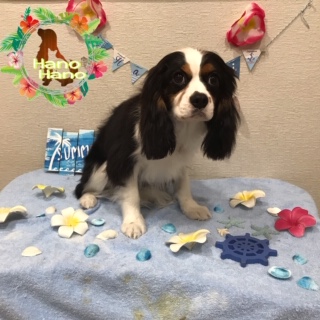 After trimming! 10/27