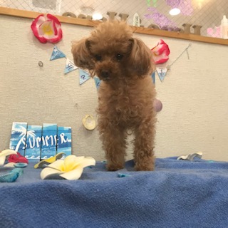 After trimming! 8/29