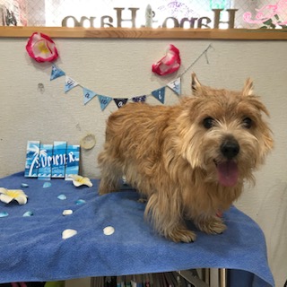 After trimming! 8/31