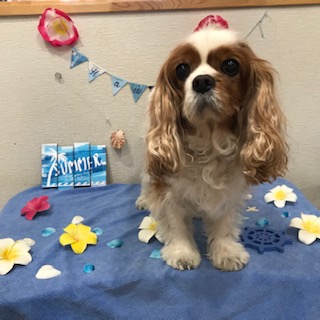 After trimming! 8/31