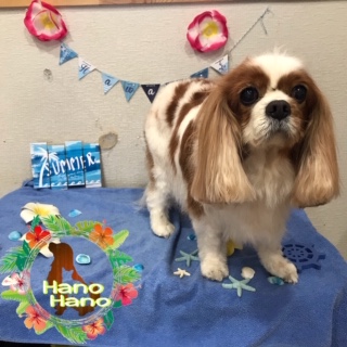 ザイザイちゃん!