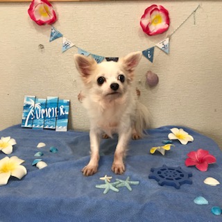 After trimming! 8/31