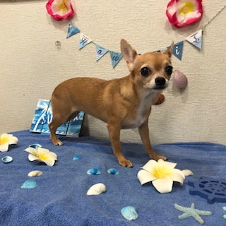 After trimming! 8/31