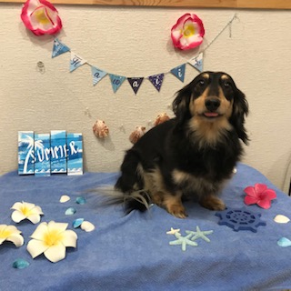 After trimming! 8/31