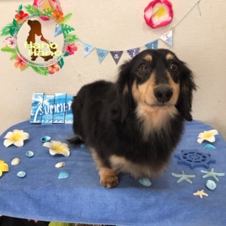 After trimming! 8/12