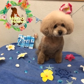 After trimming! 8/12