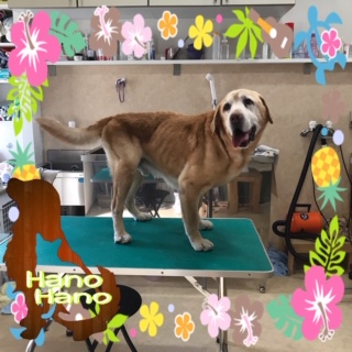 After trimming! 8/12