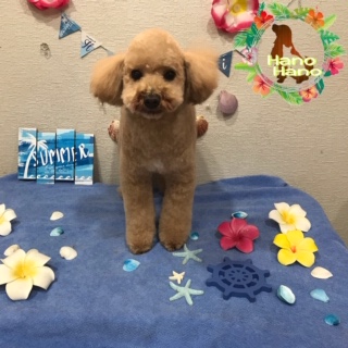 After trimming! 8/12