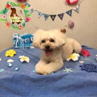 After trimming! 8/12