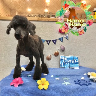 After trimming! 8/12