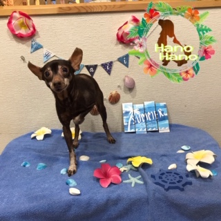 After trimming! 8/11