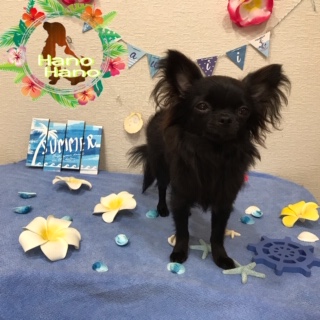 After trimming! 8/10