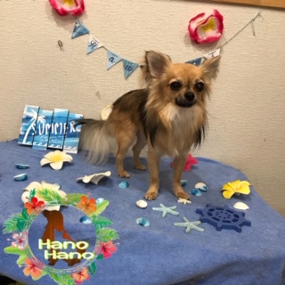 After trimming! 8/10