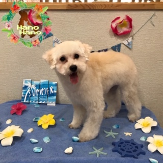 After trimming! 8/10