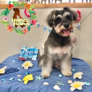 After trimming! 8/10