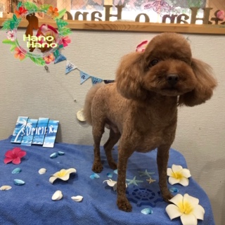 After trimming! 8/10