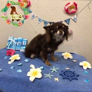 After trimming! 8/10