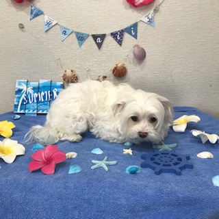 After trimming! 12/15