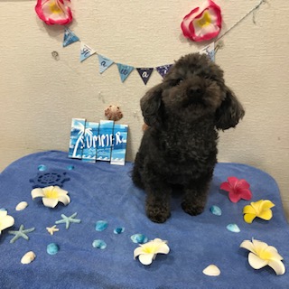 After trimming! 12/31