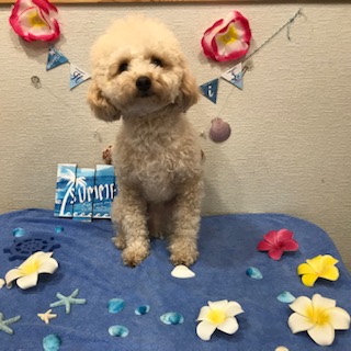 After trimming! 12/31