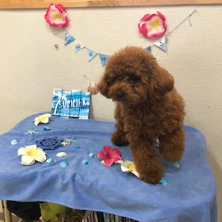 After trimming! 12/31