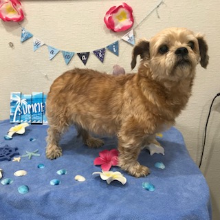 After trimming! 12/31