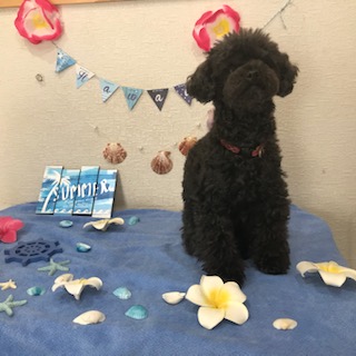 After trimming! 12/15