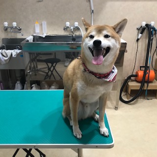 After trimming! 12/15