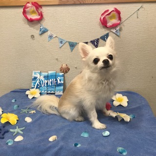 After trimming! 12/14