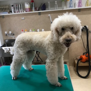 After trimming! 12/14