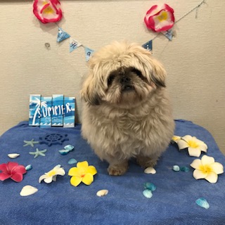 After trimming! 12/14