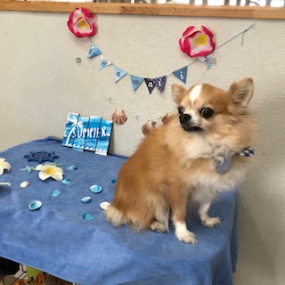 After trimming! 12/13