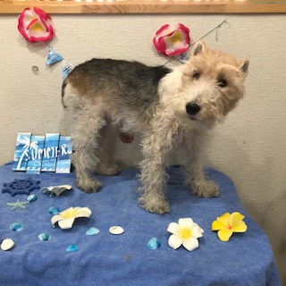 After trimming! 12/13