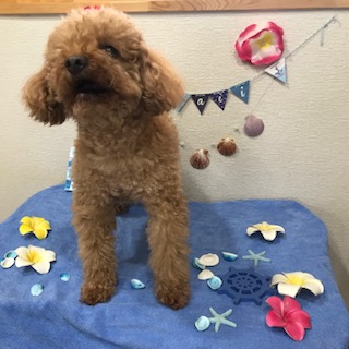 After trimming! 12/13